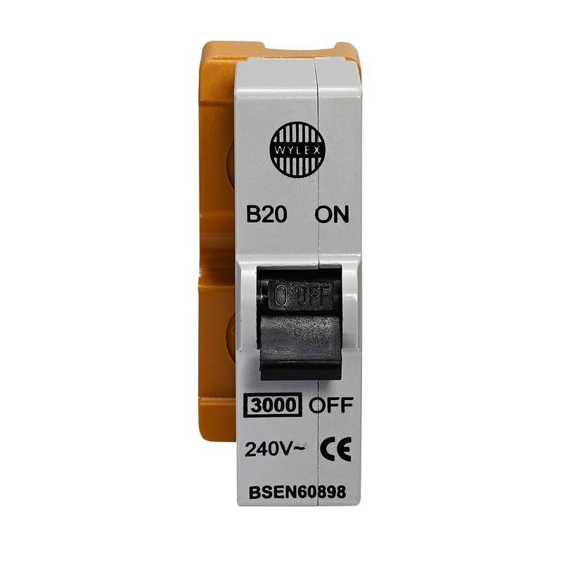 B20