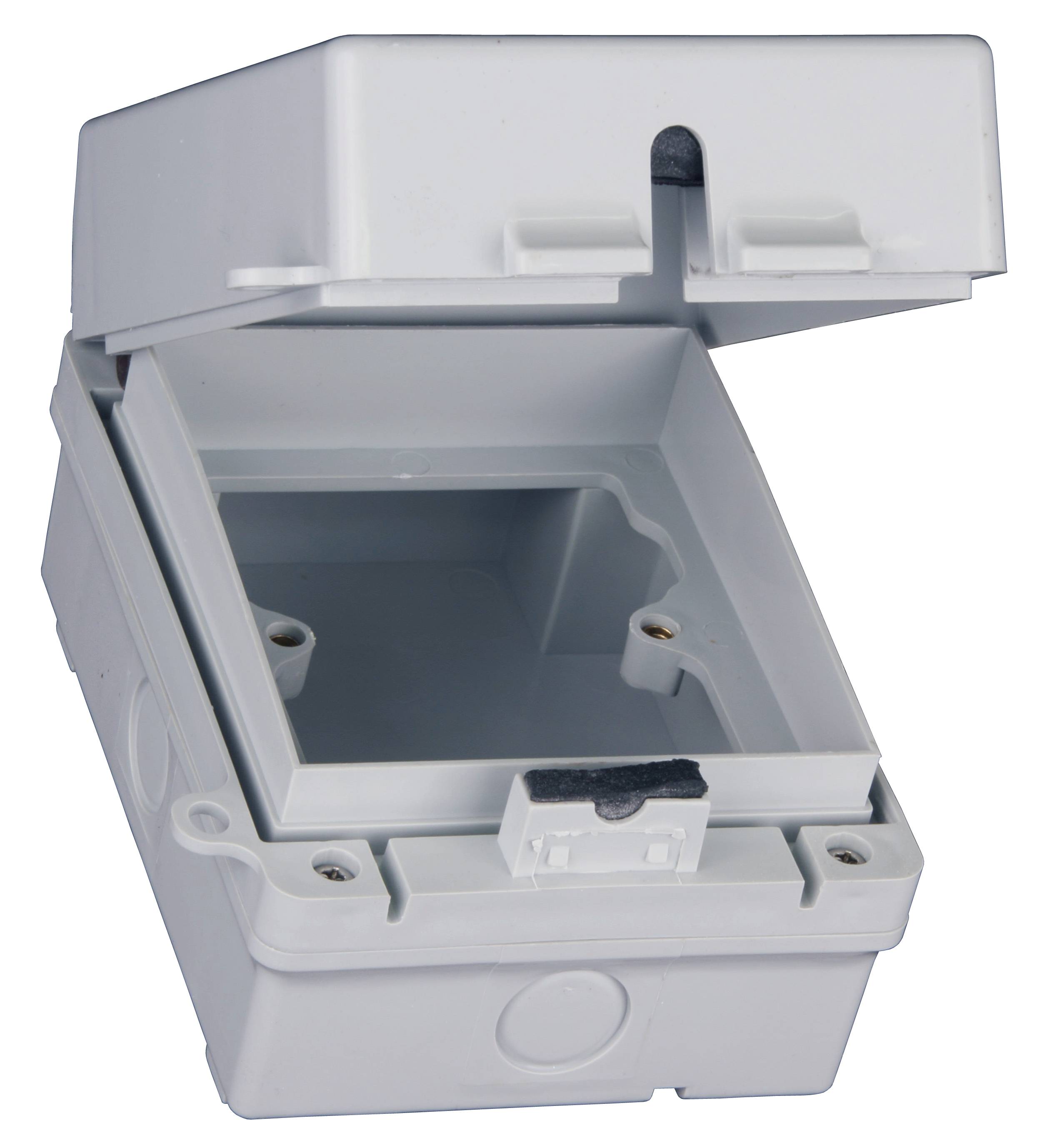 IP65WE1G