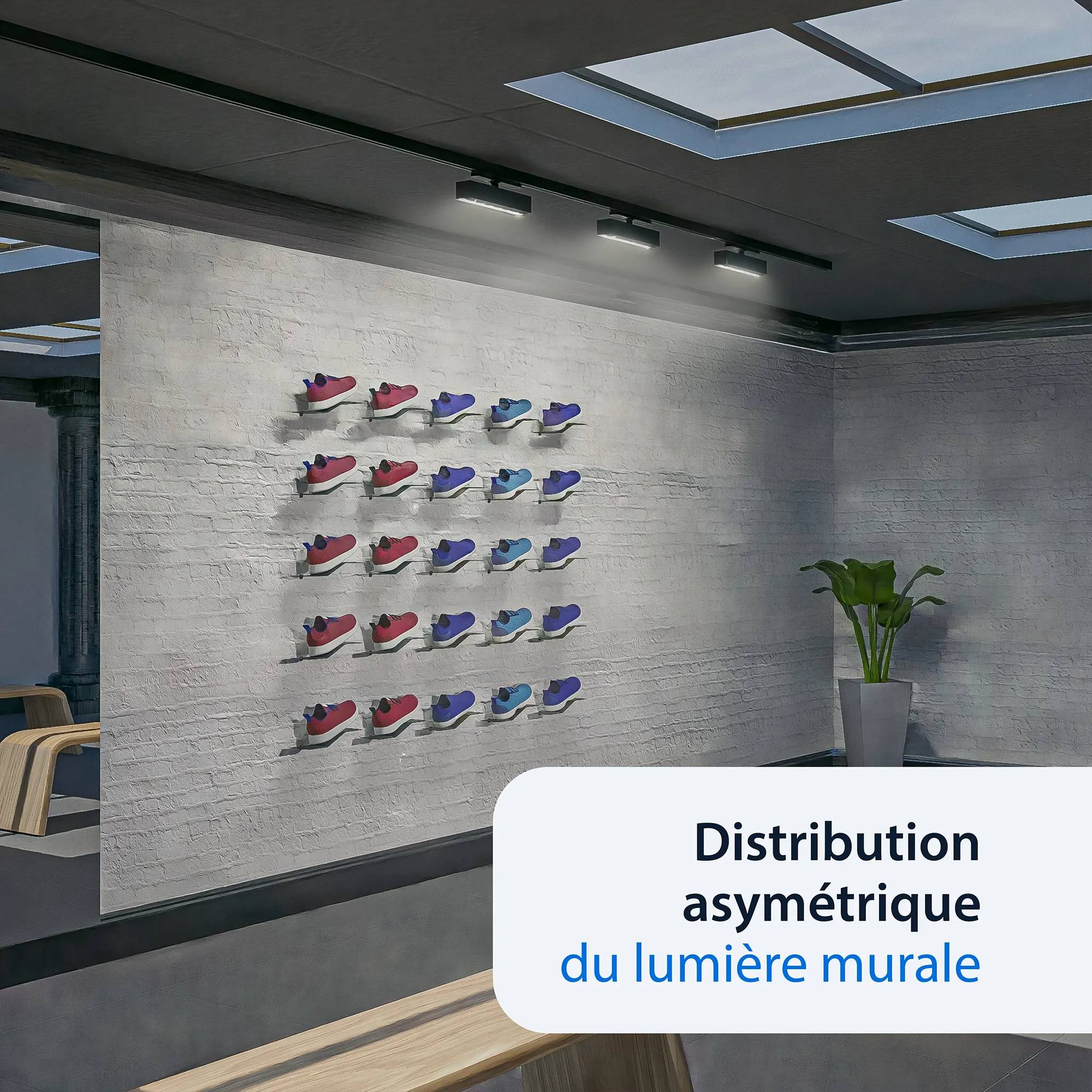 Flexblox Wallwash Fonctionnalité