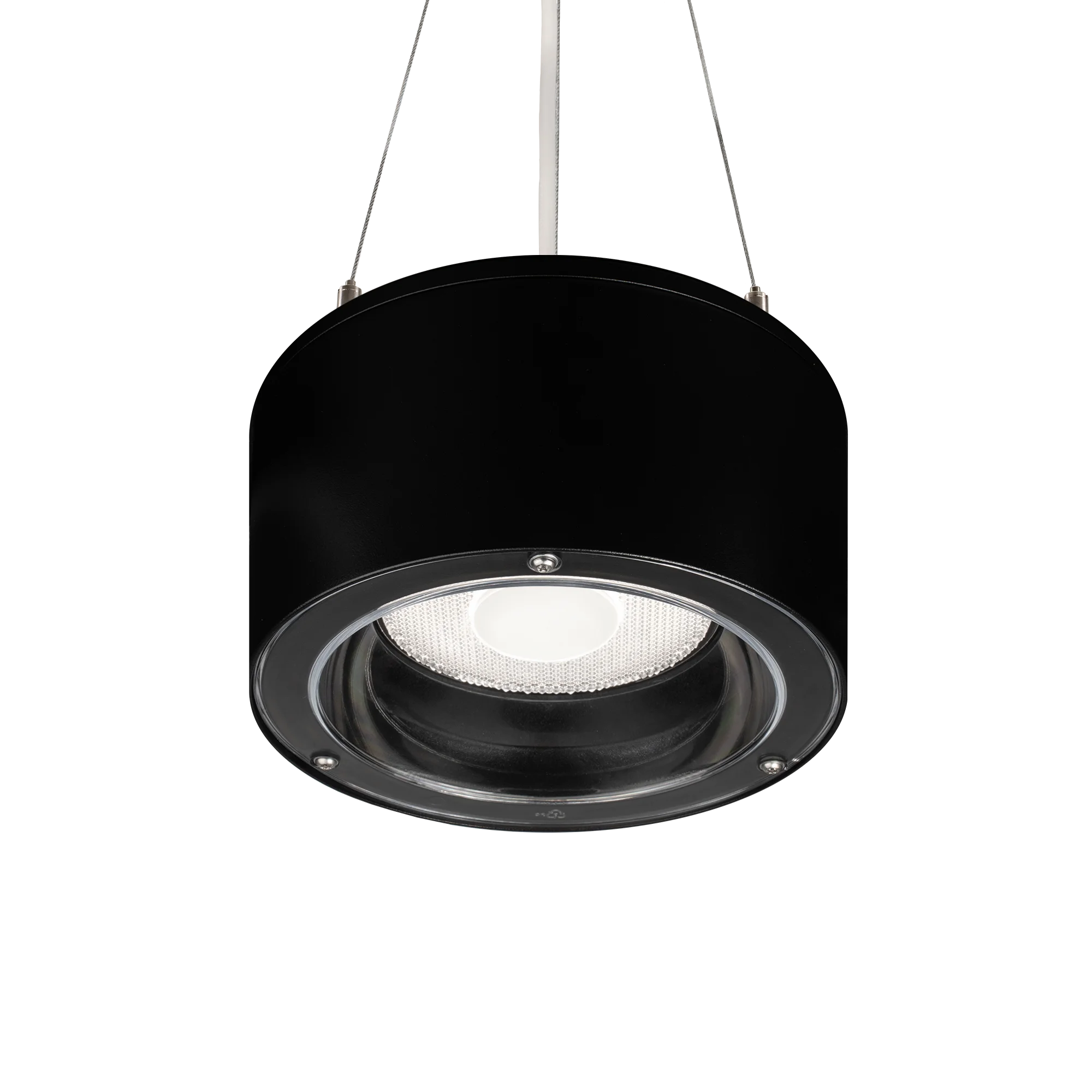 Black IP66 version