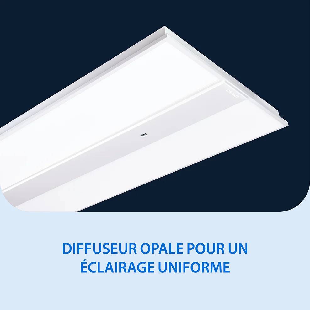 Solow XLED Opal Fonctionnalité