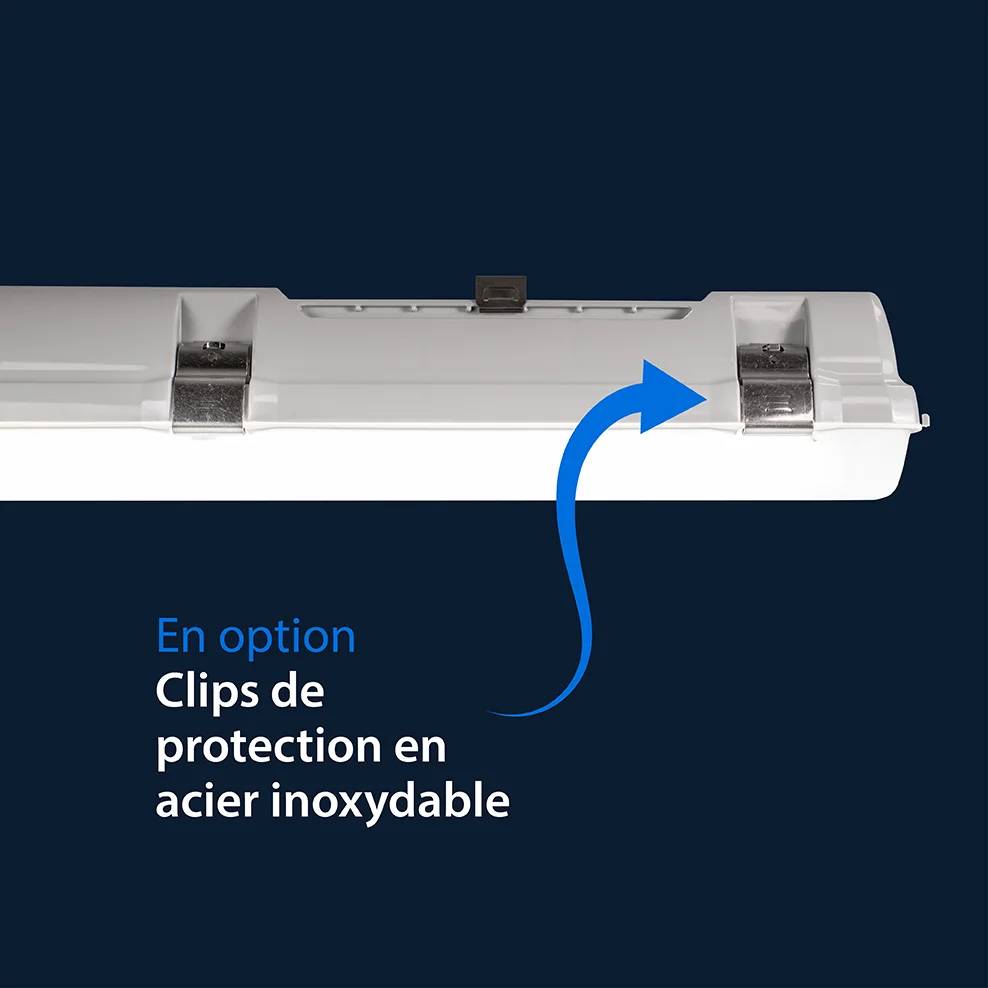 Thoroproof Fonctionnalité