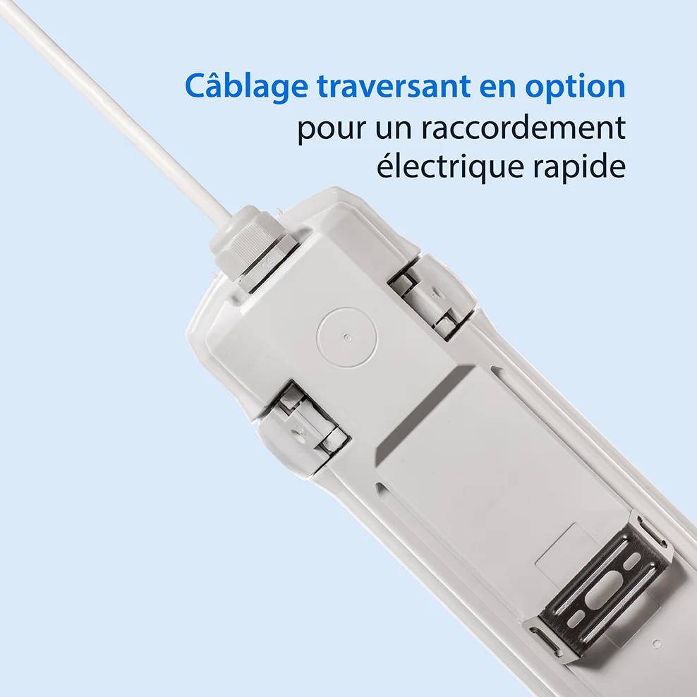 Thoroproof Fonctionnalité