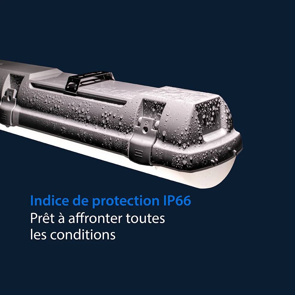 Thoroproof Fonctionnalité