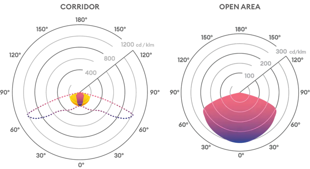 Polar plot
