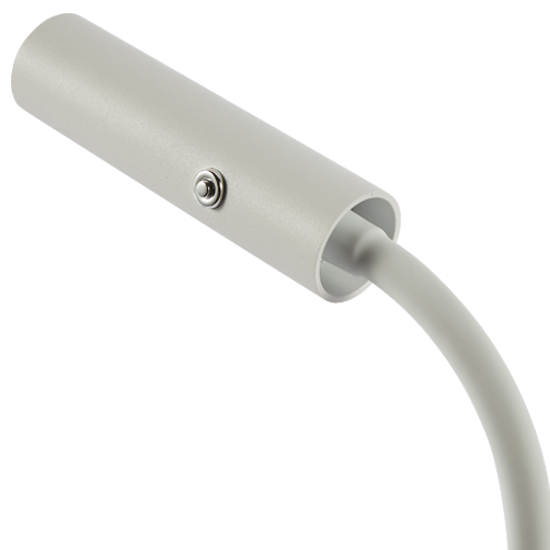 Swan – White image