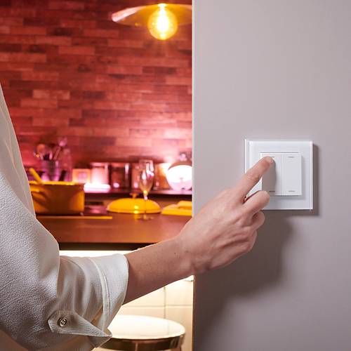 OCTO Indoor Wireless Smart Switch Glass Frame image