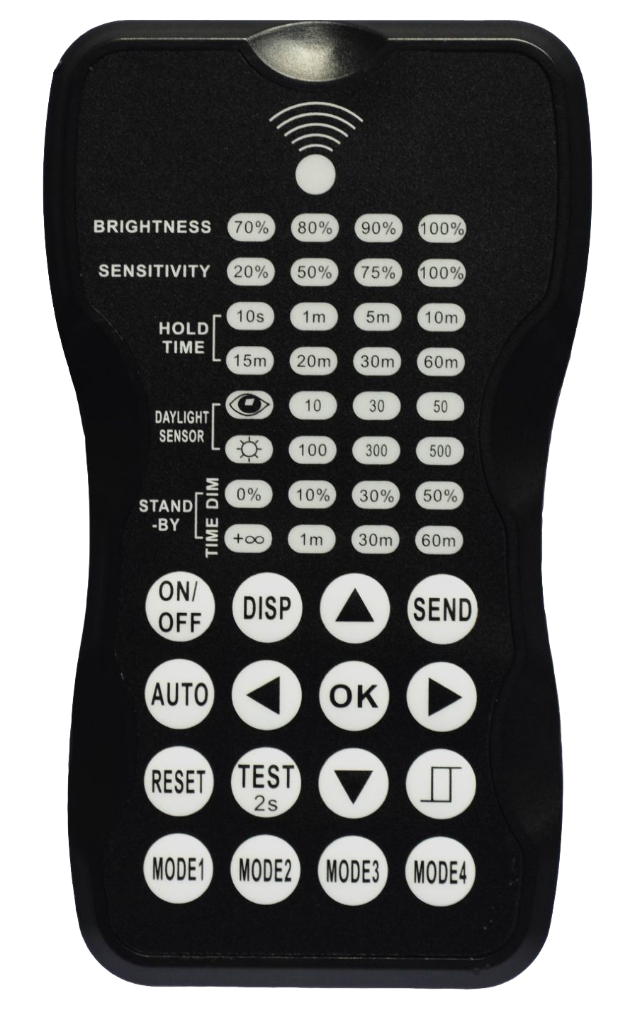 Echo 2 Remote Control