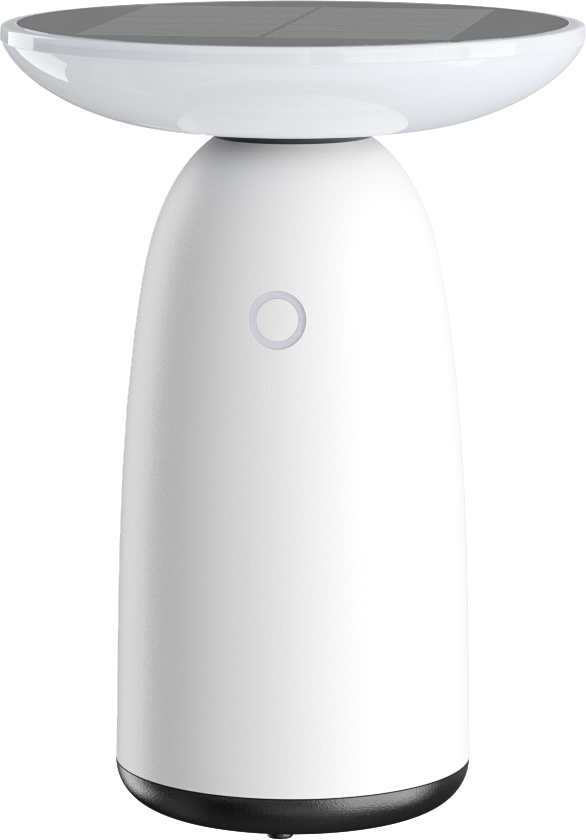 Mushroom Solar light