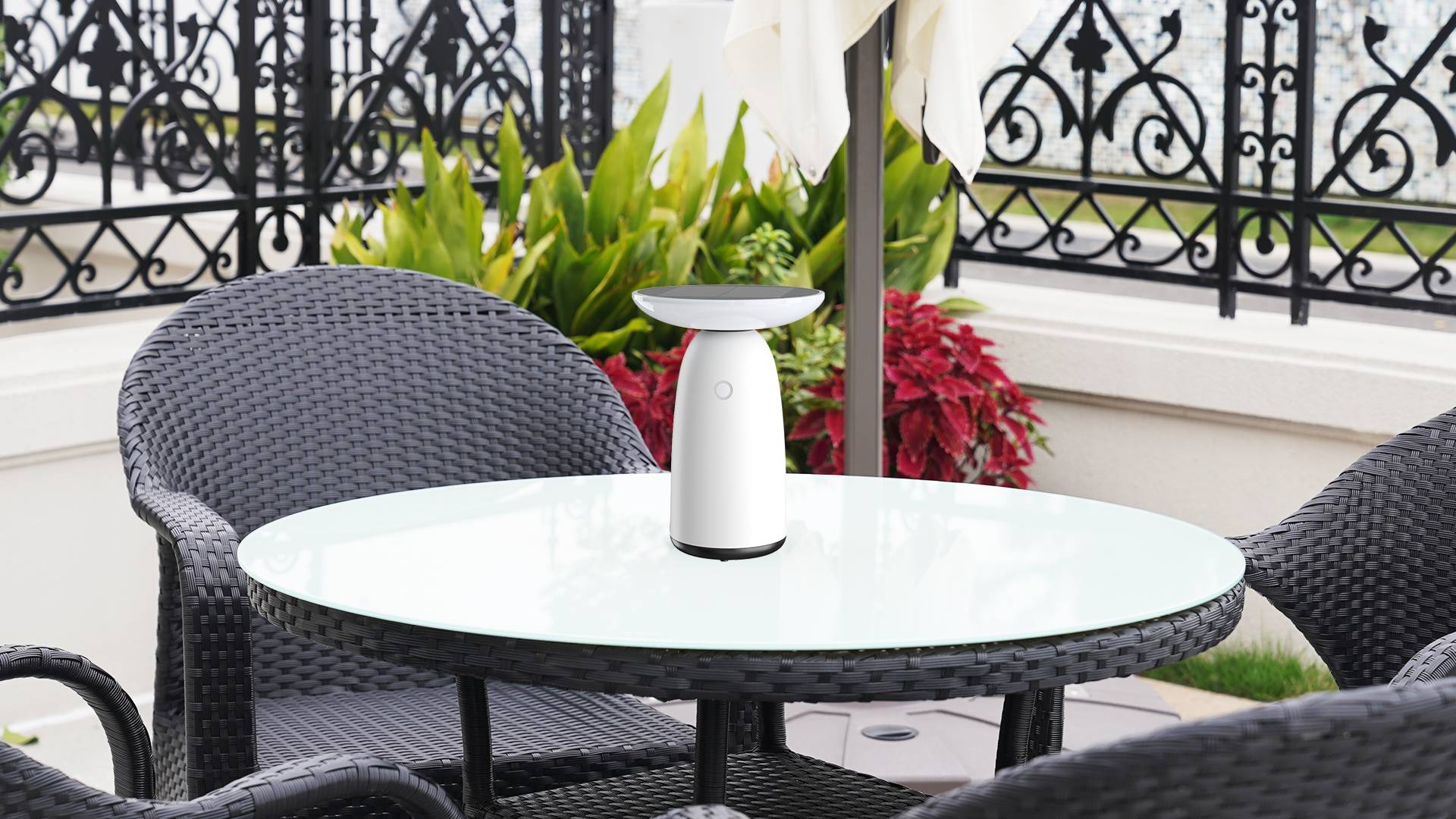 Mushroom Solar light