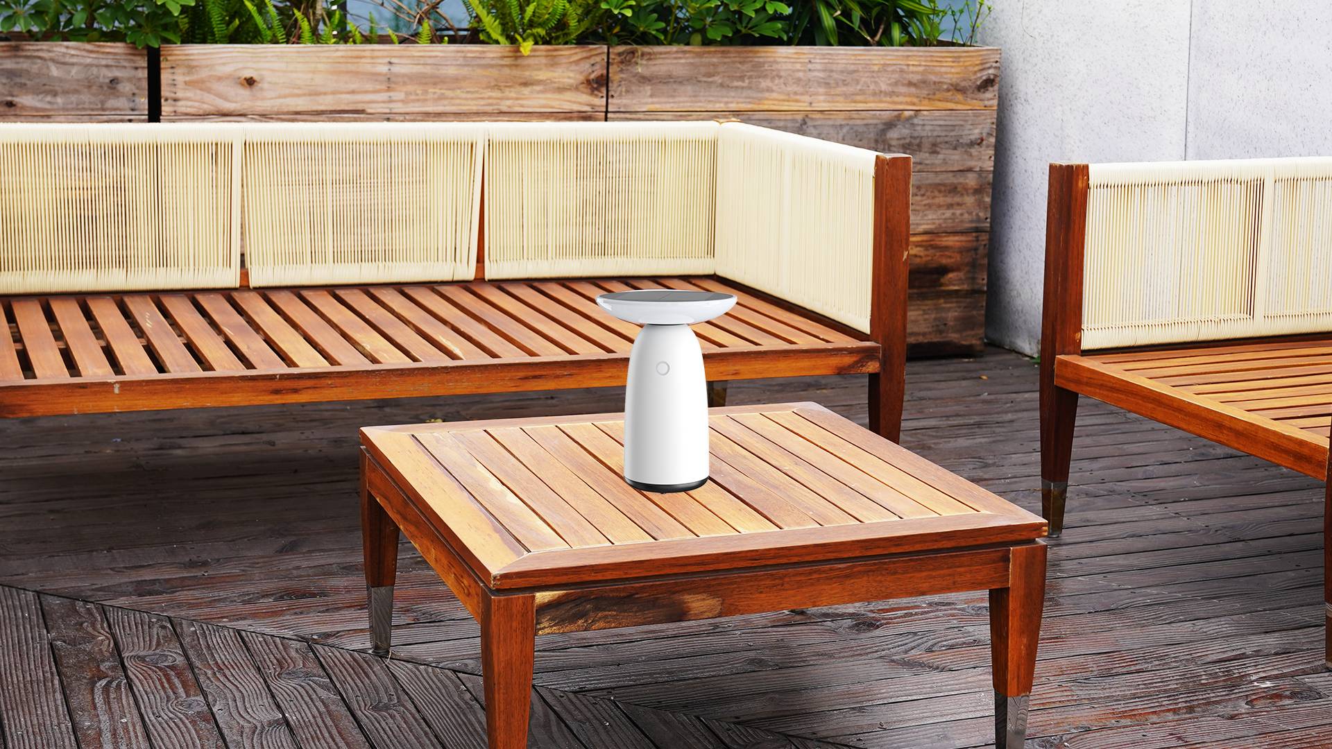 Mushroom Solar light