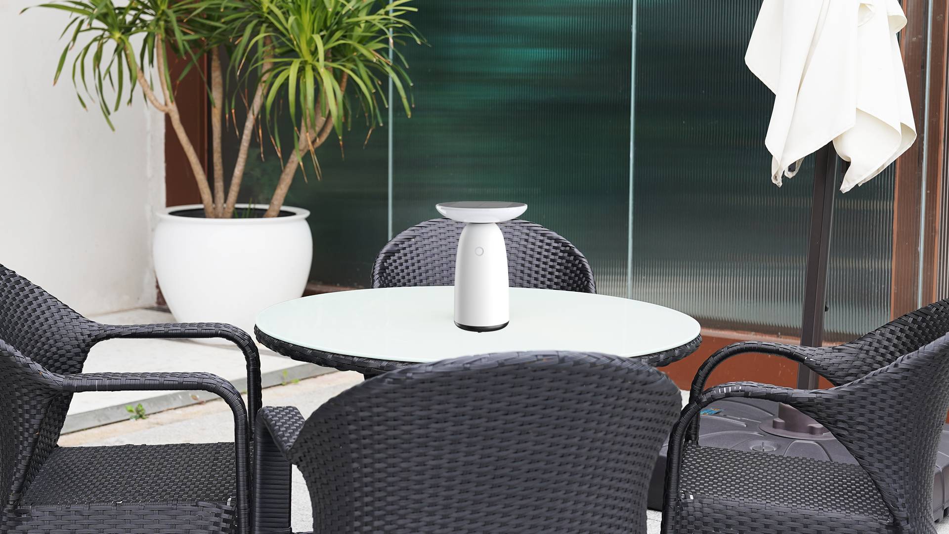 Mushroom Solar light